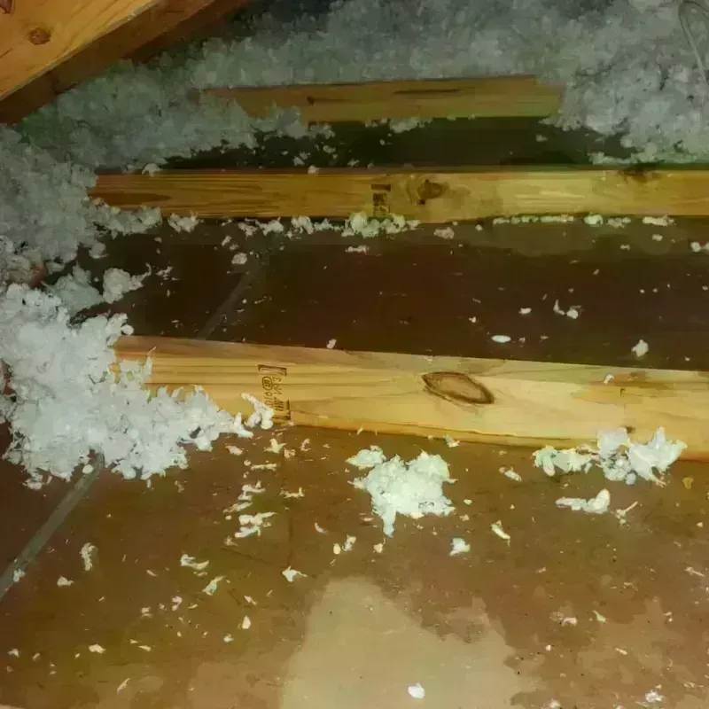 Attic Water Damage in Victory Gardens, NJ